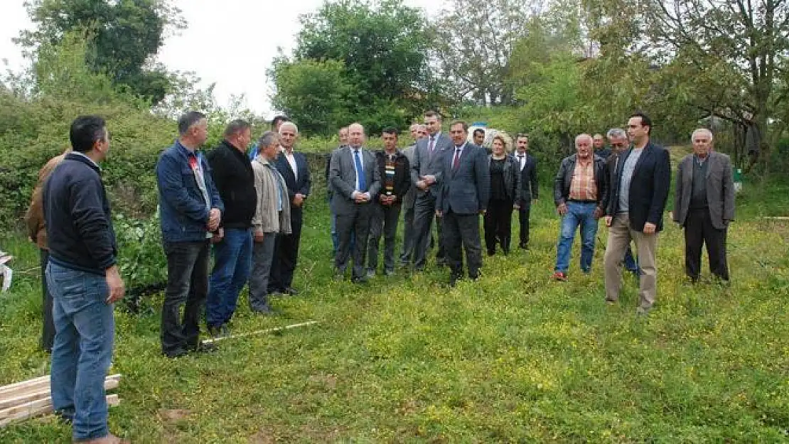 Bartın'da İlk Aronia Bahçesi Oluşturuldu