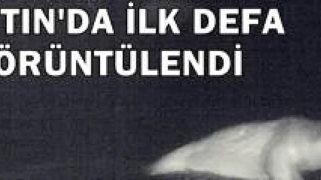 Bartın'da ilk defa böyle görüntülendi