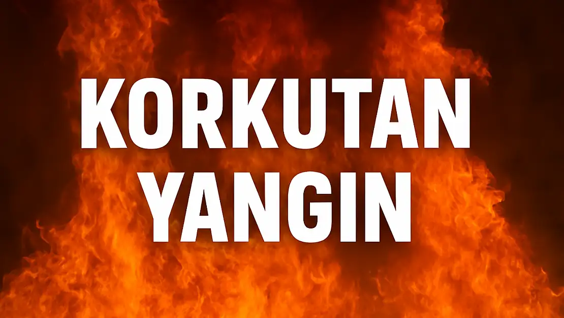 Bartın'da korkutan yangın