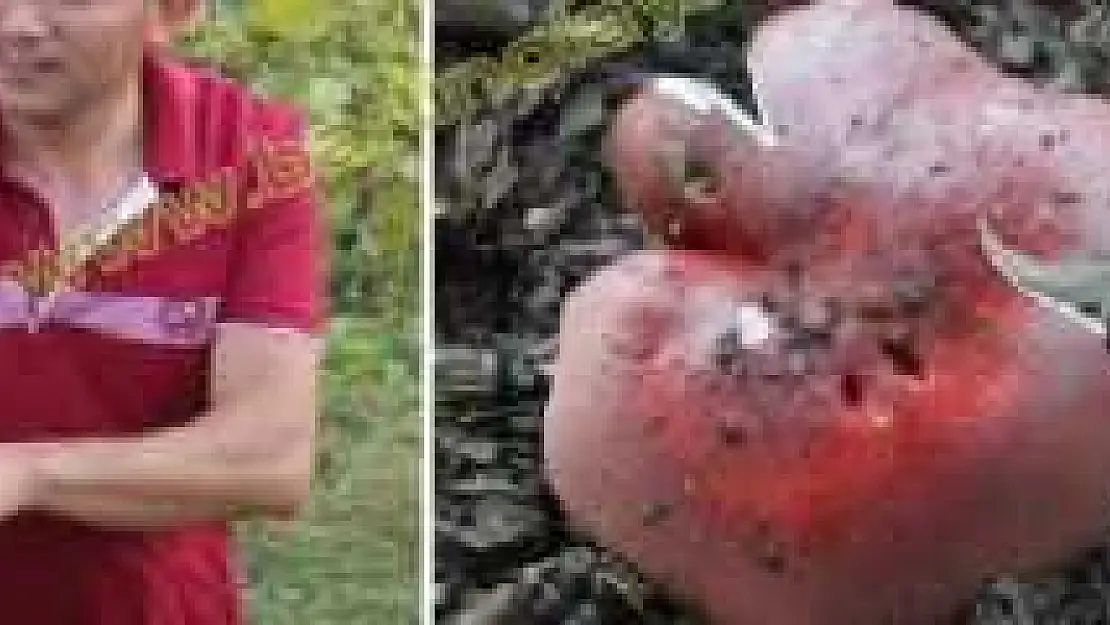 BARTIN'DA MANTAR BOLLUĞU YAŞANIYOR