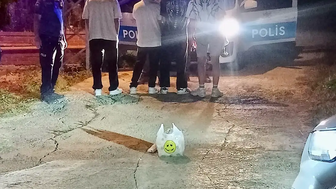 Bartın'da Mezarlıkta şok manzara!