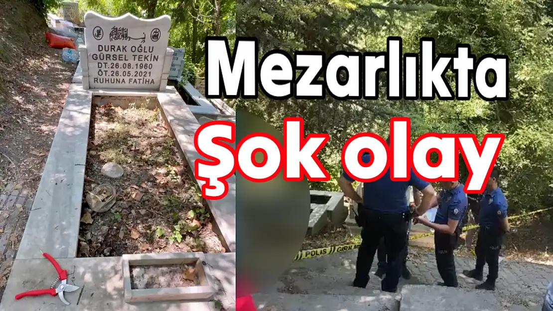 Bartın'da mezarlıkta şok olay