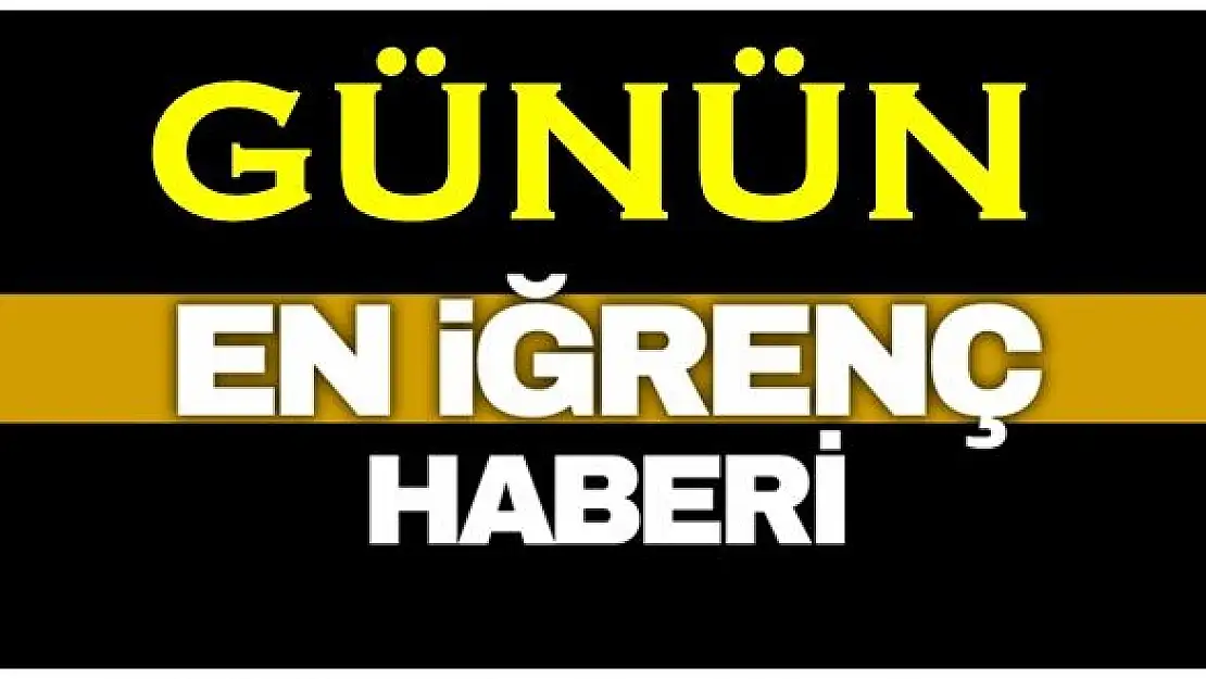 Bartın'da mide bulandıran iğrenç olay
