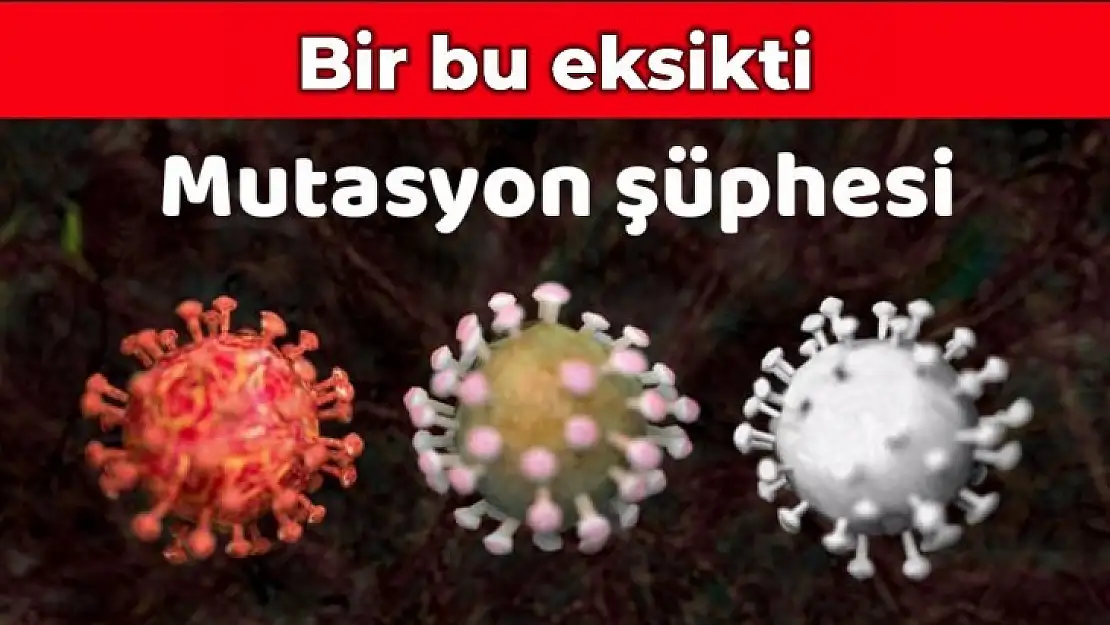 Bartın'da mutasyonlu virüs şüphesi
