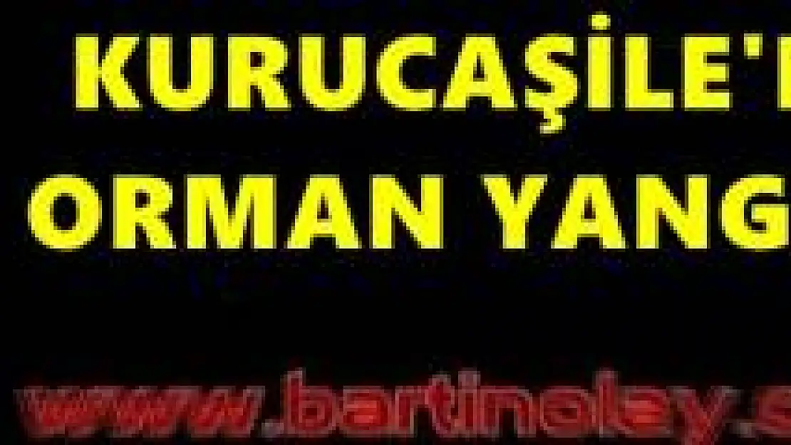 Bartın'da orman yangını