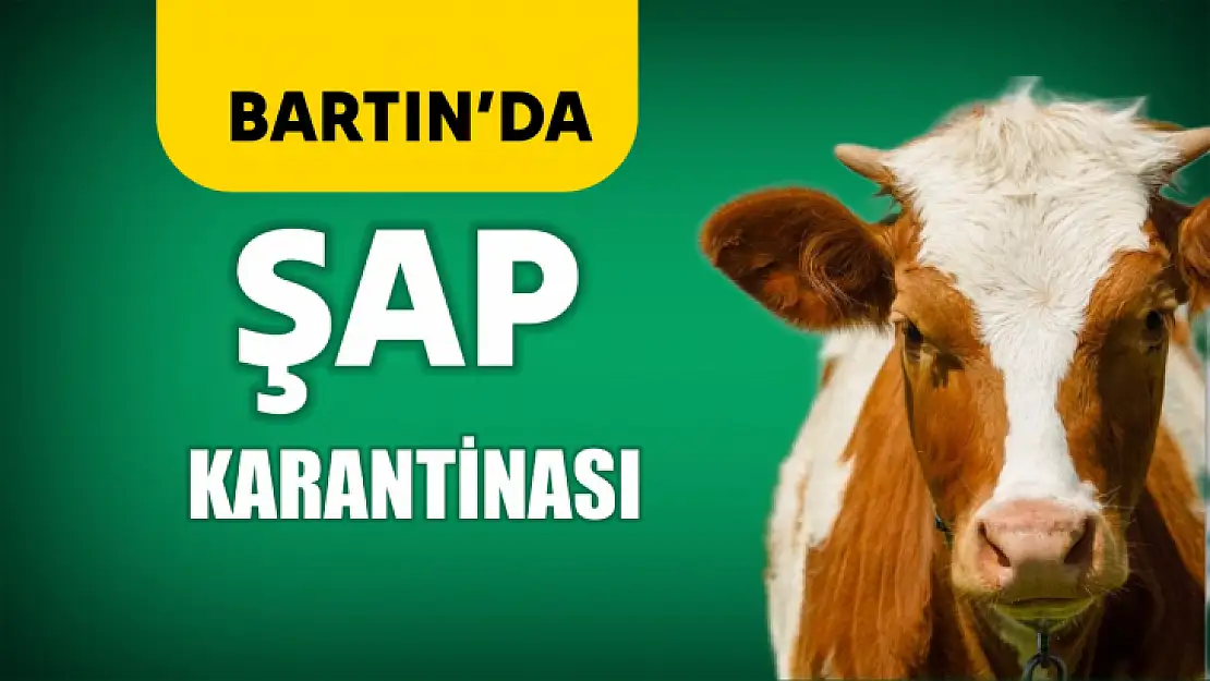 Bartın'da şap vakası