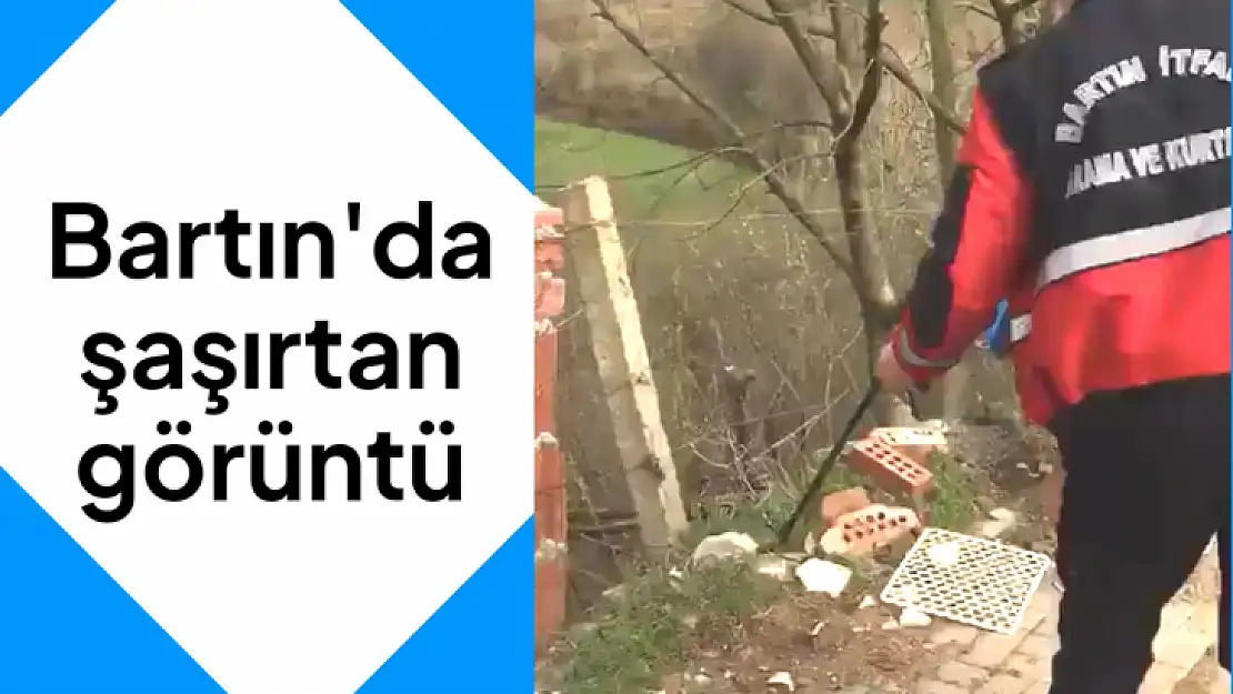 Bartın'da şaşırtan görüntü