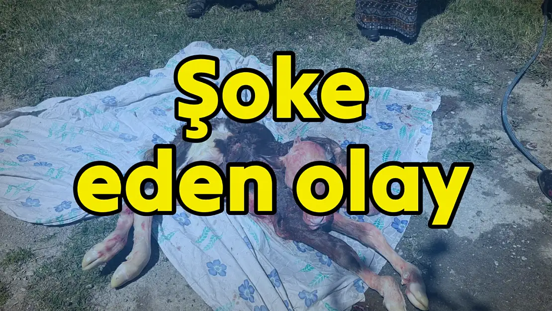 Bartın'da şoke eden doğum