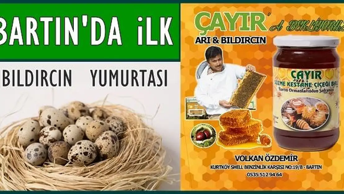 Bartın'ın ilk bıldırcın ve arı çiftliğini kurdu