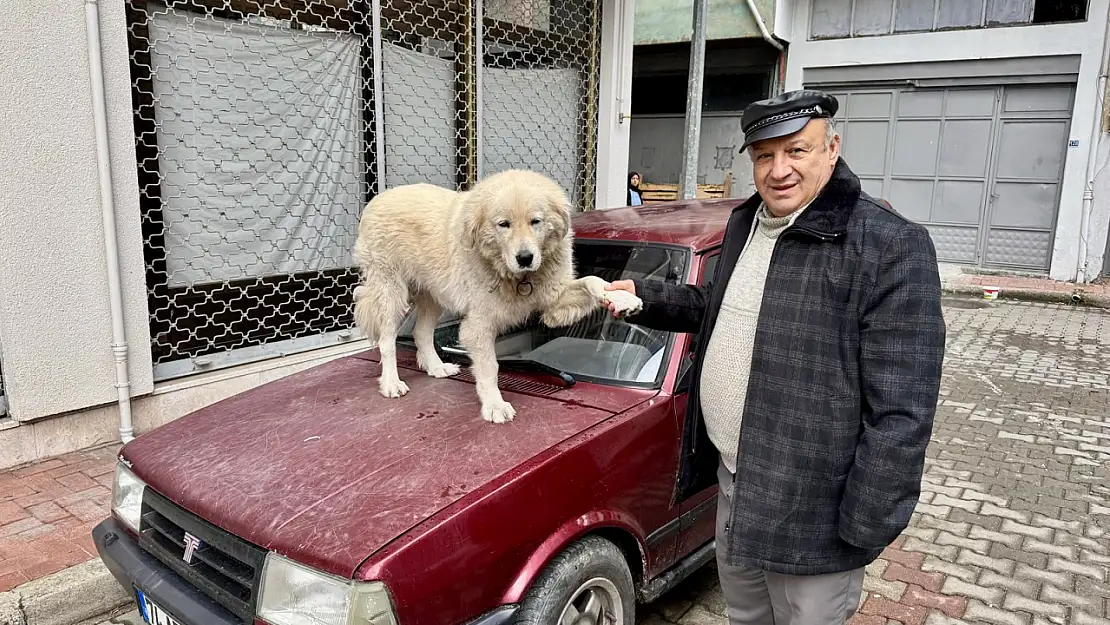 Bartın Olay'a çıkan Binnaz ünlü oldu