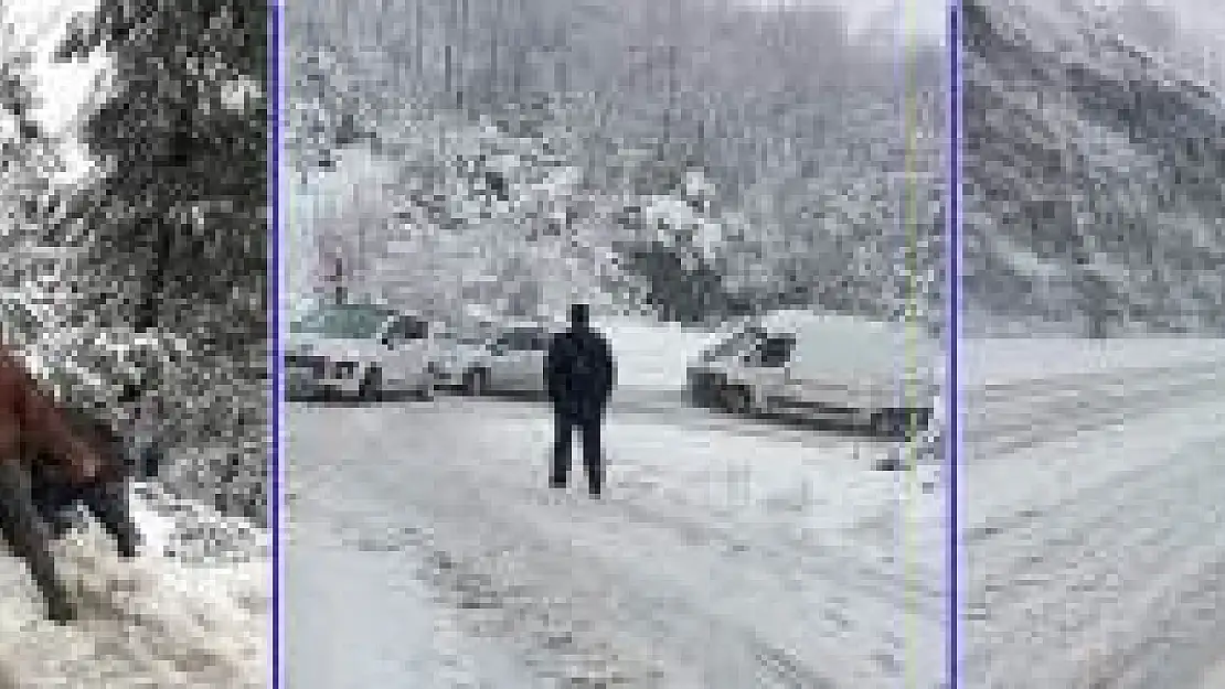 Bartın yollarından kar manzaraları