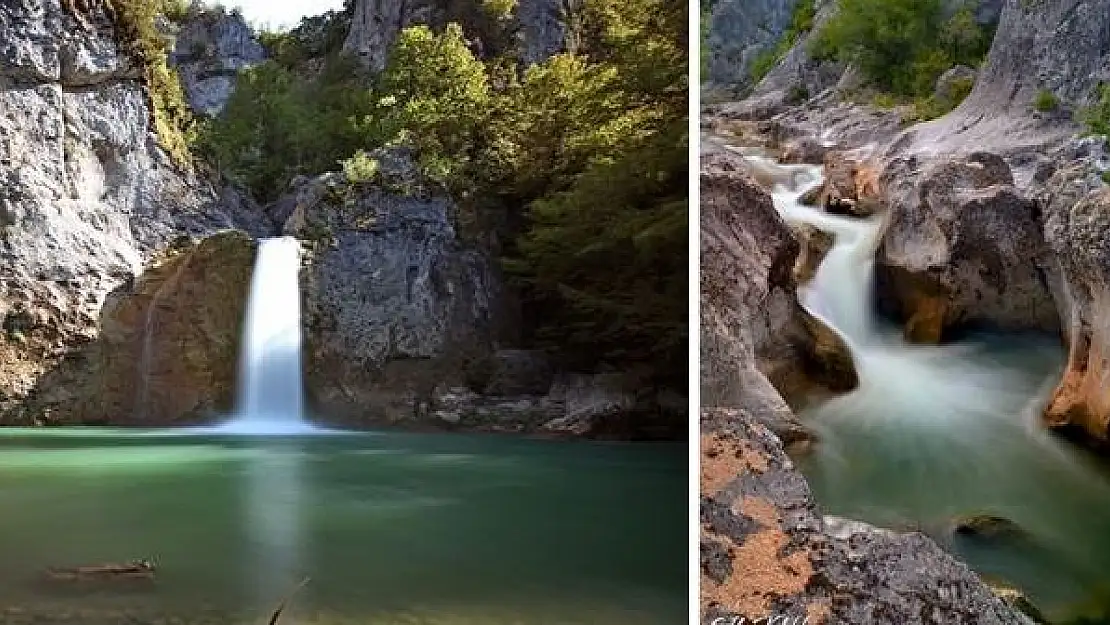 Başkentli Fotoğrafçılardan Küre Dağlarında Safari