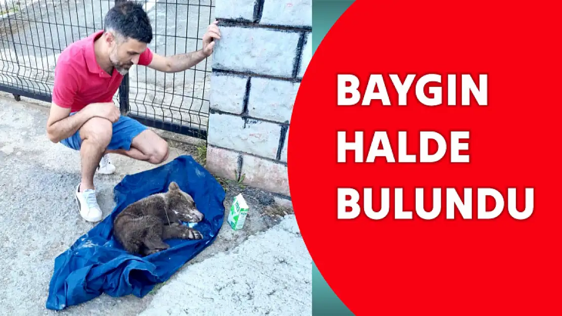 Baygın halde bulundu