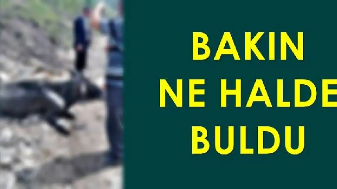Belediye ekipleri yardıma koştu