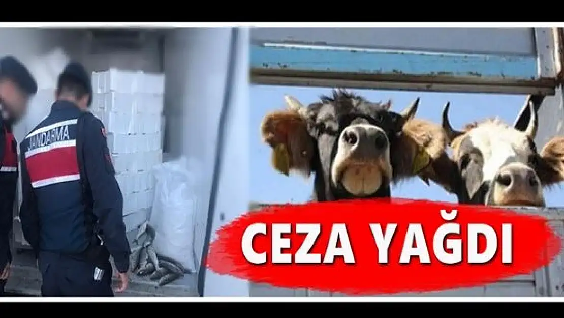 Belgesiz taşımacılığa ceza