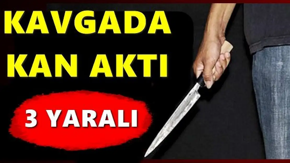 Bıçaklı kavgada 3 kişi yaralandı