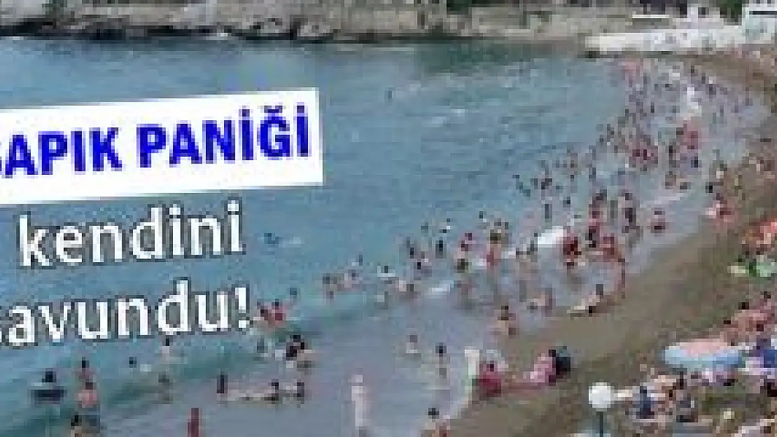 Bikinili kadınların fotoğrafını çekerken yakalandı
