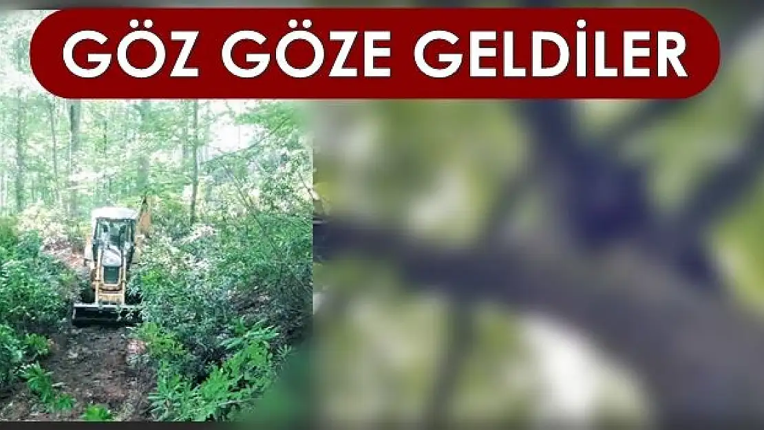 Bir anda görünce ne yapacağını şaşırdı!