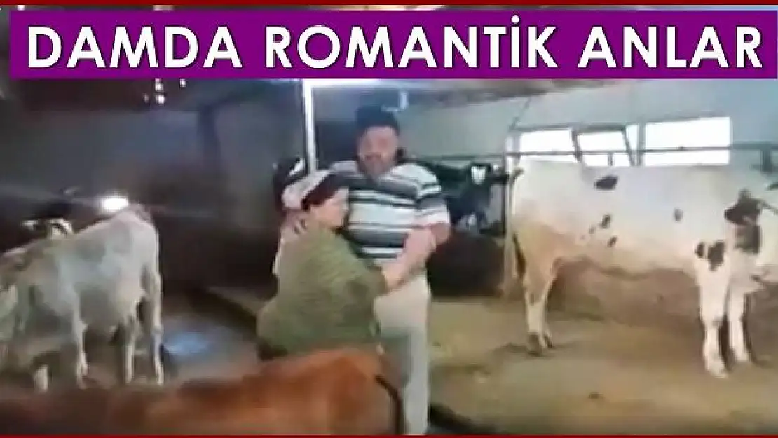 Böylesi görülmedi, damda aşk başkadır!