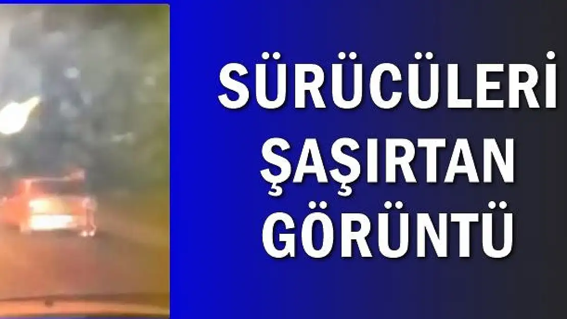 Bu görüntüler Bartın çevre yolundan