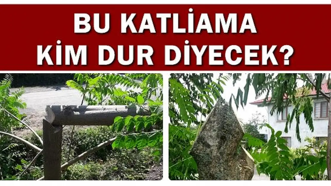 Bu katliama kim dur diyecek?