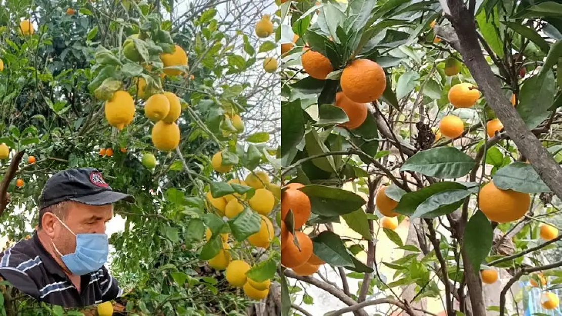 Bu köyde yok yok