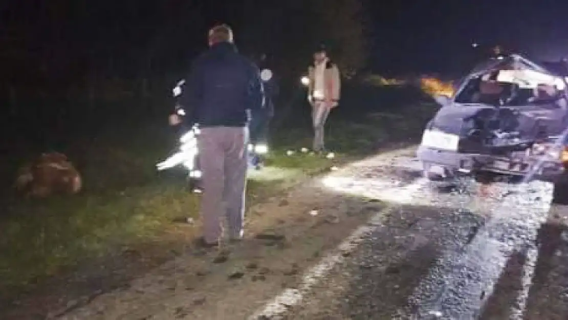 Büyükbaş hayvana çarptı