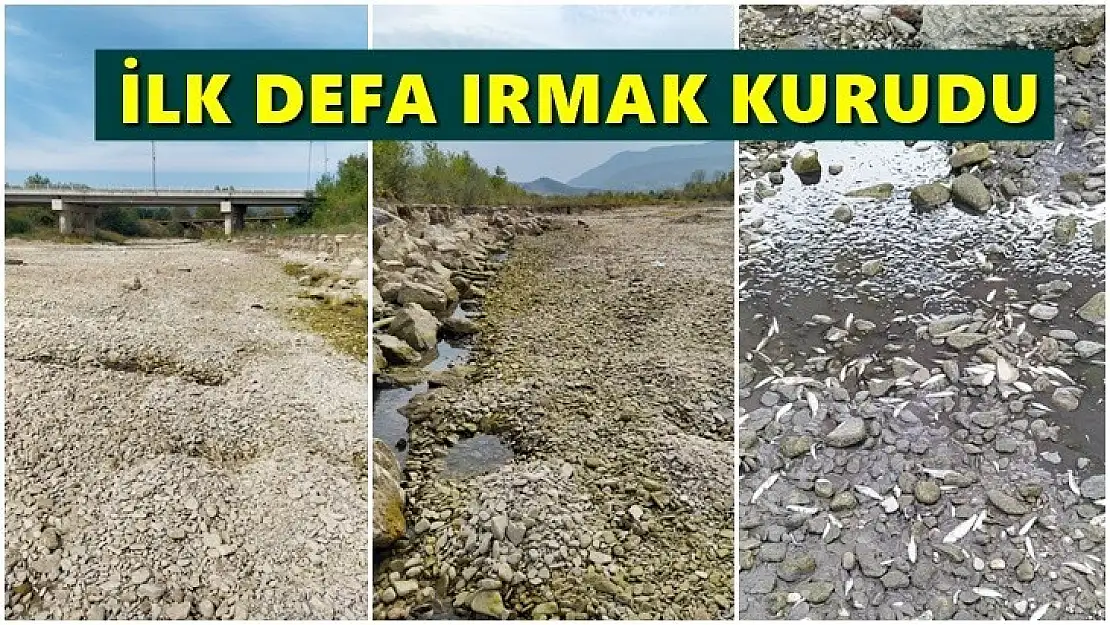 Can çekişen balıklar kurtarılmayı bekliyor