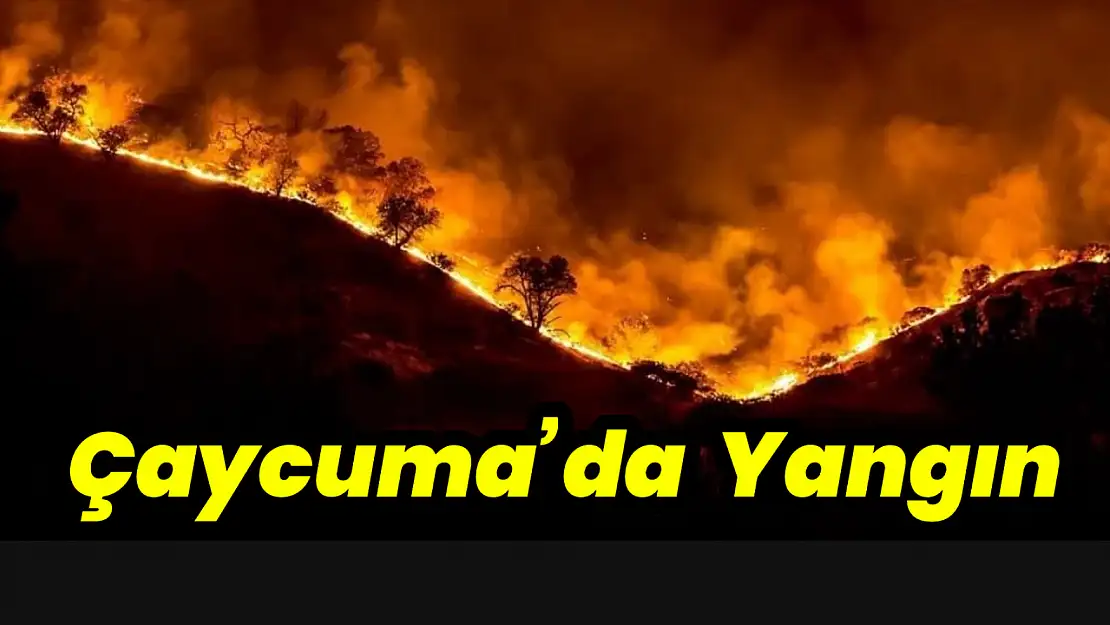 Çaycuma'da orman yangını