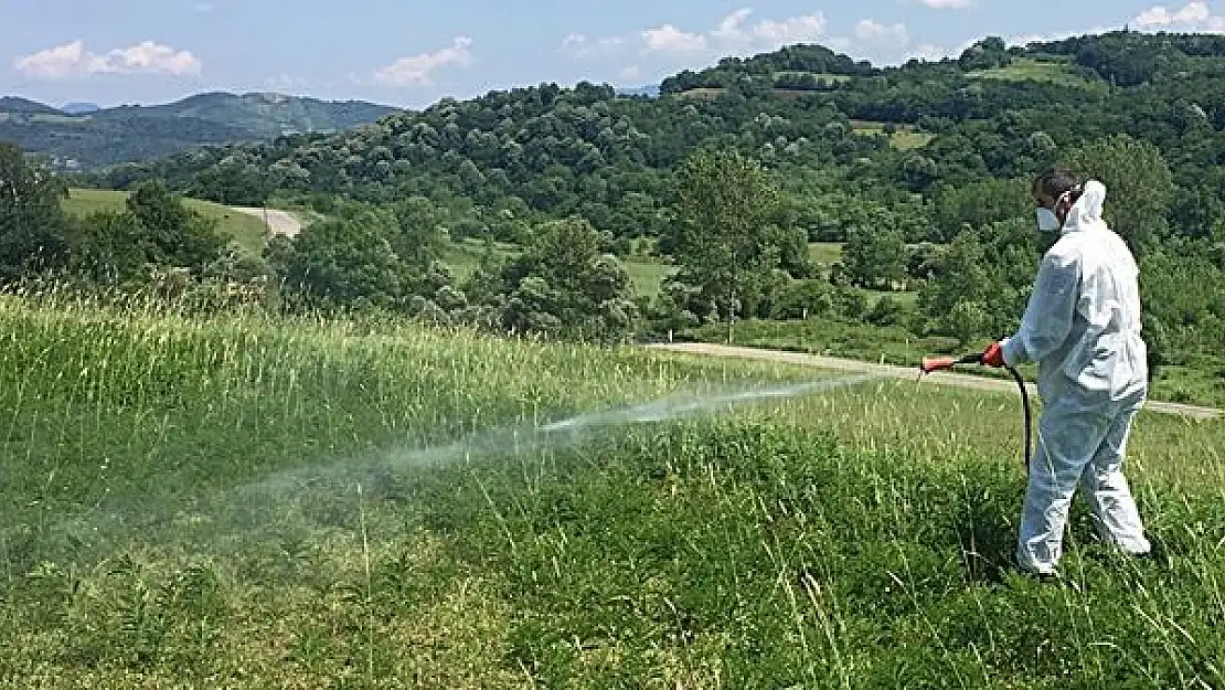 Çekirge ile mücadele çalışmaları başladı