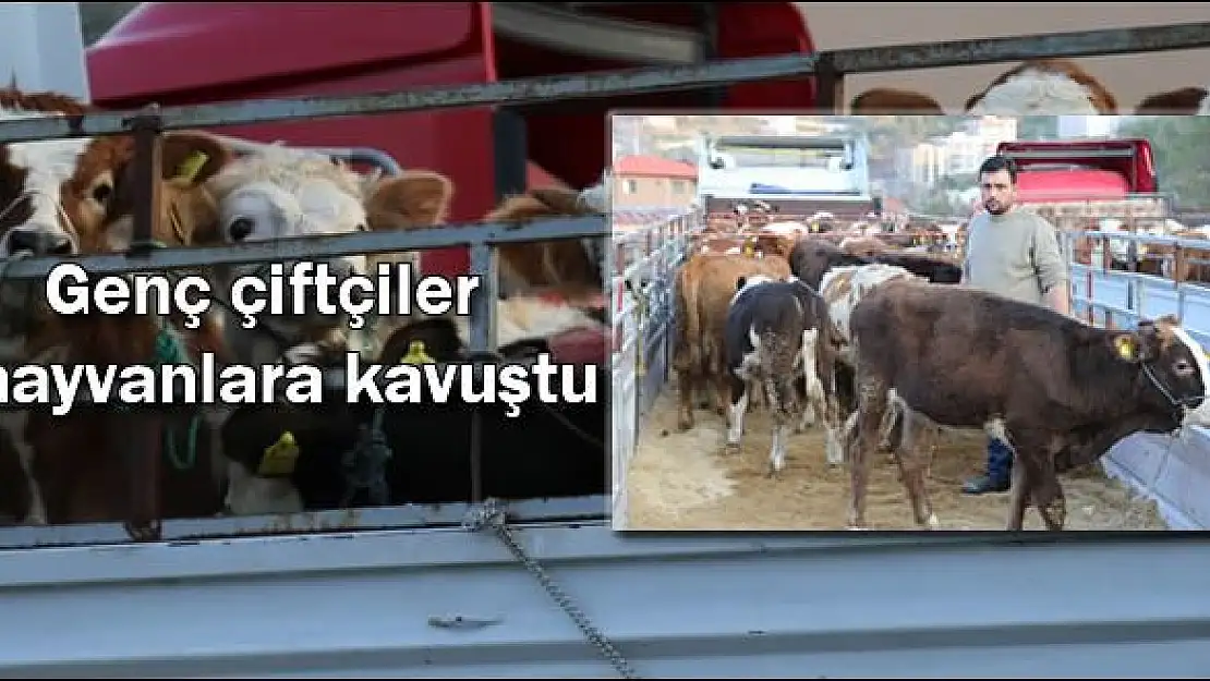 Çiftçilere hayvanlar teslim edilmeye başlandı