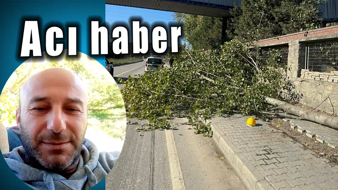 Çimento fabrikasından acı haber