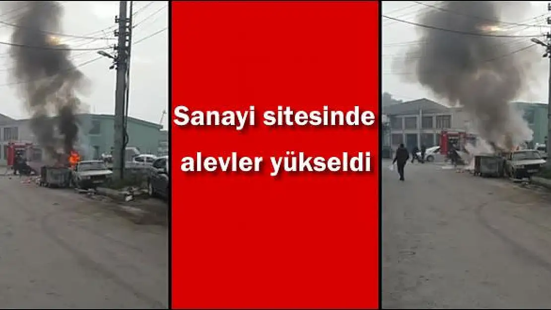 Çöpler ve atıklar alev aldı