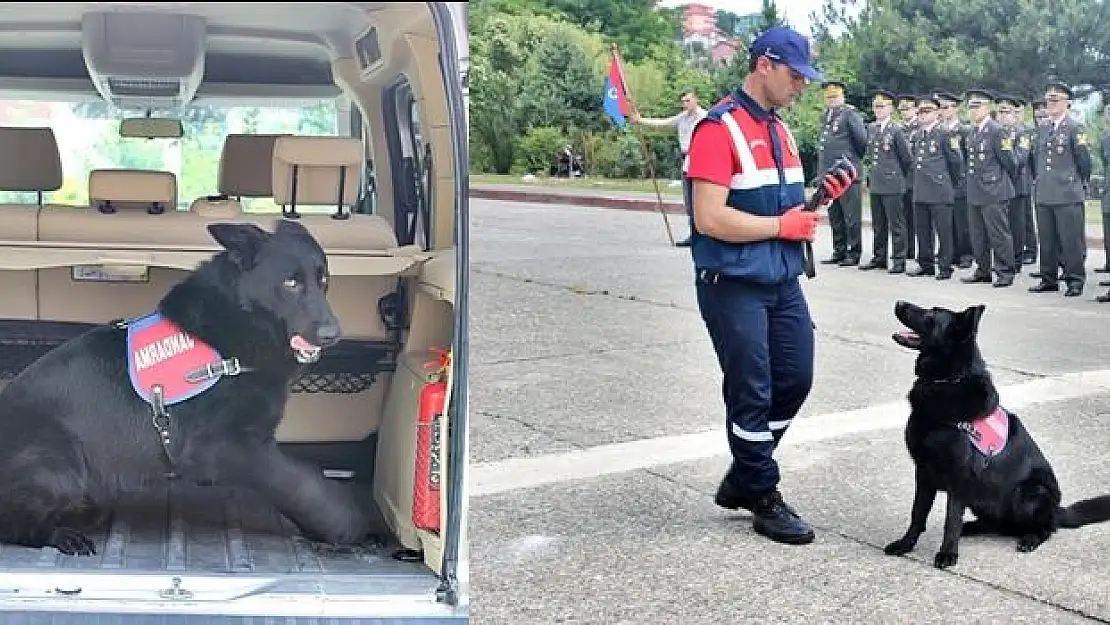 Dalga herkesi kendine hayran bıraktı