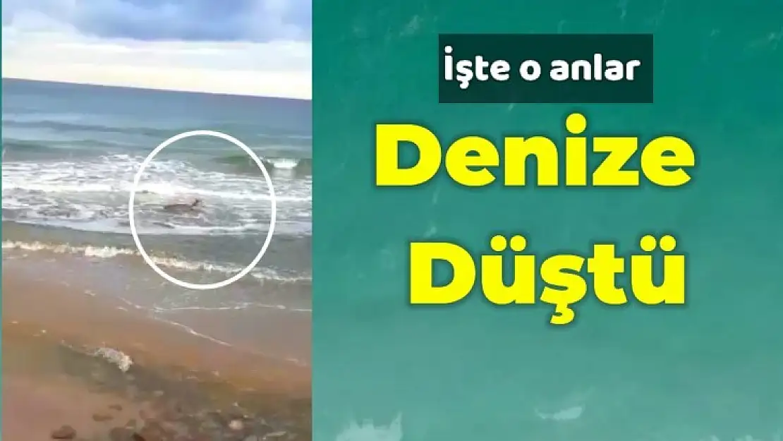 Denize düştü, vatandaşlar kurtardı