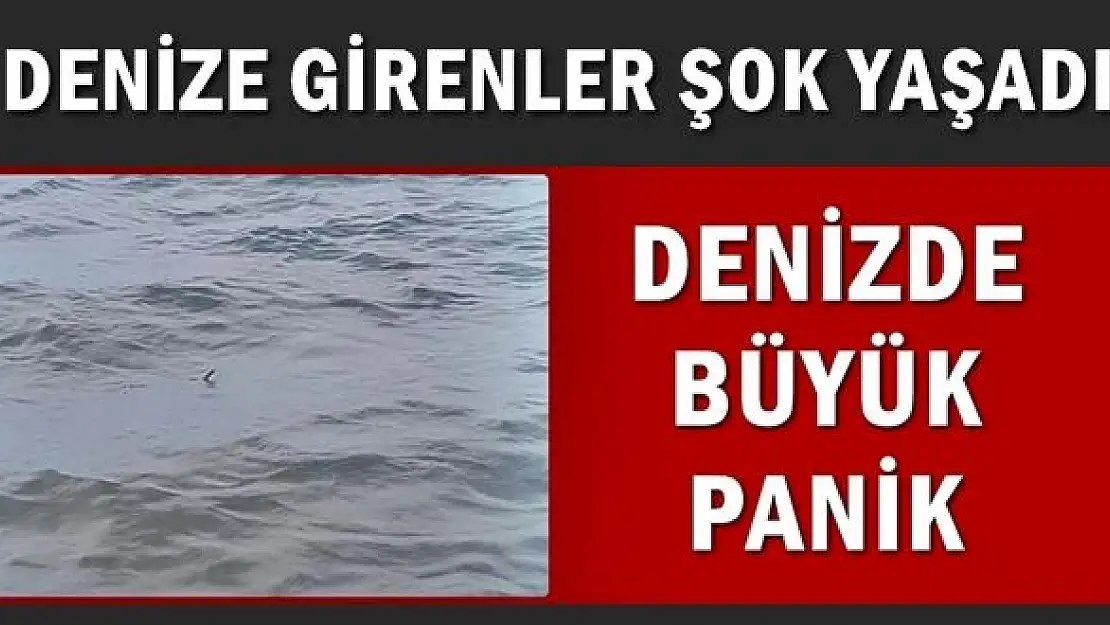 Denize girenler şok oldu, sahilde panik