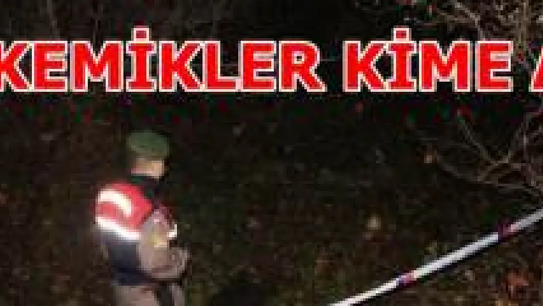 Dere kenarında insan kemikleri bulundu
