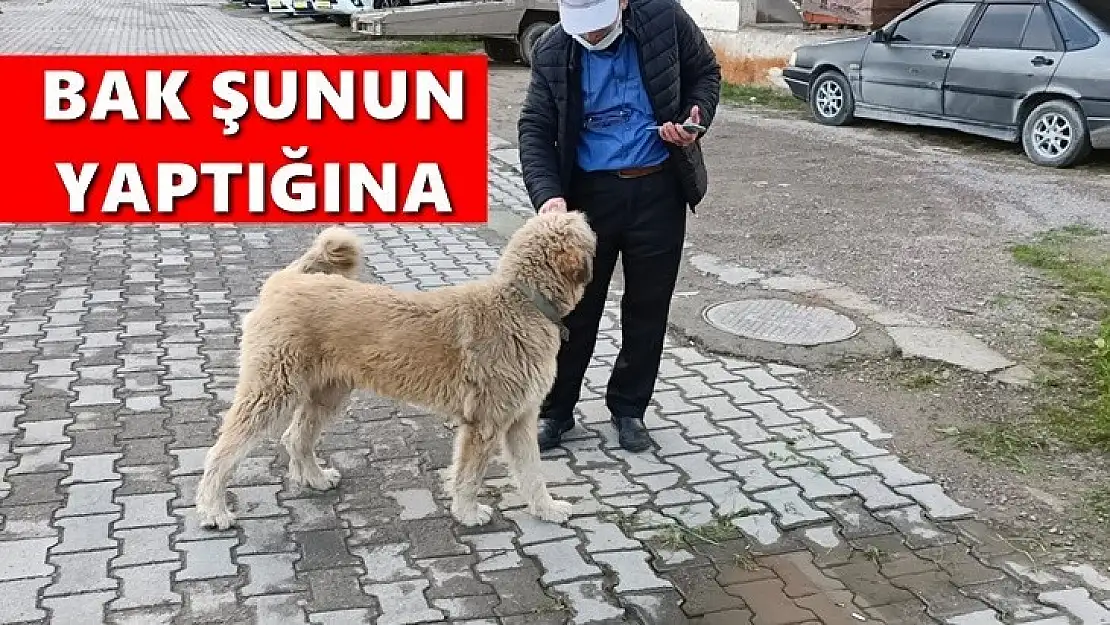 Ders almamız gereken görüntüler