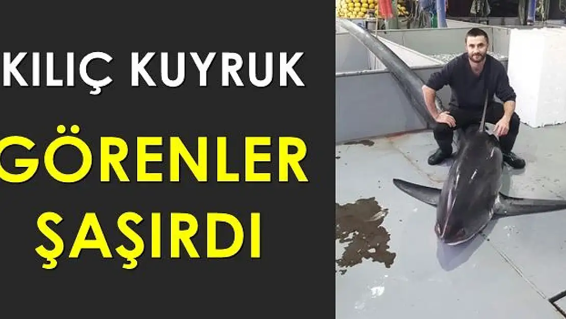 Dev köpek balığı şaşkına çevirdi!