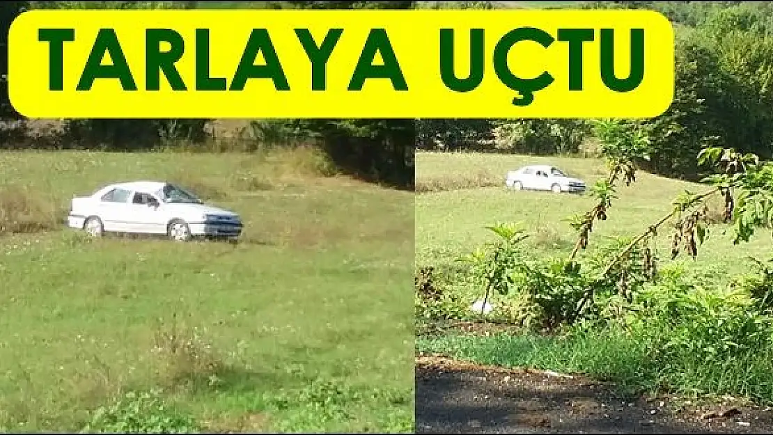 Direksiyonu kırdı, takla attı