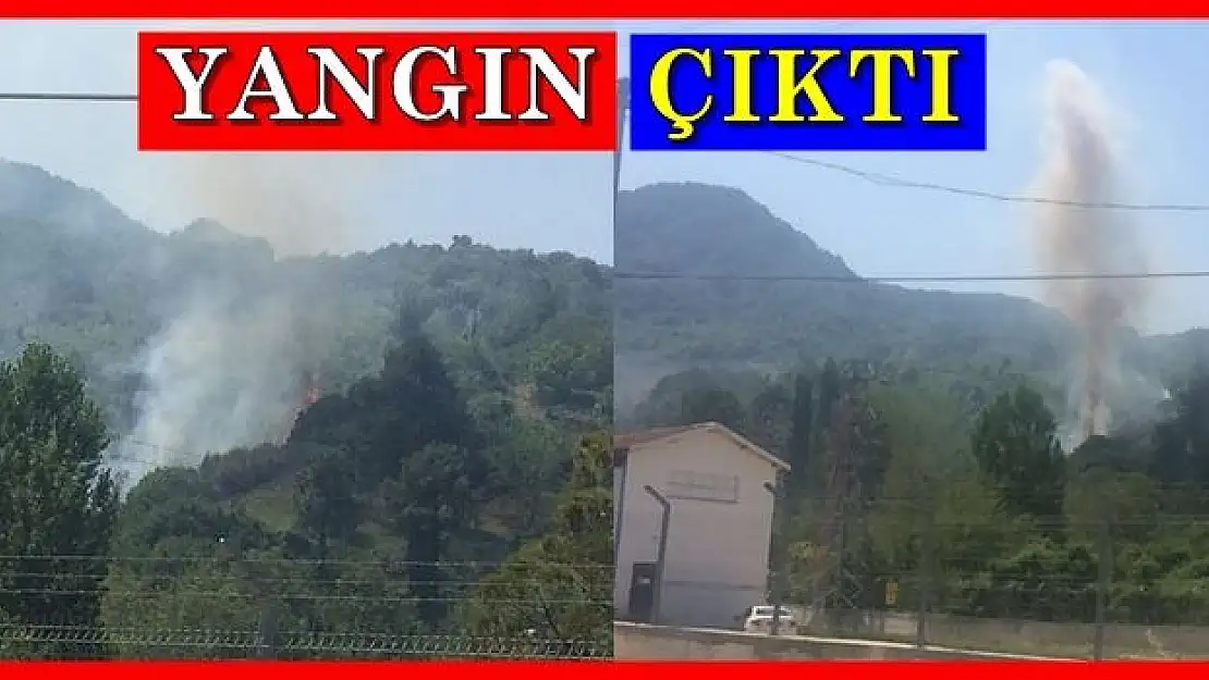 Dumanlar Yükseldi  Ekipler Sevk Edildi...