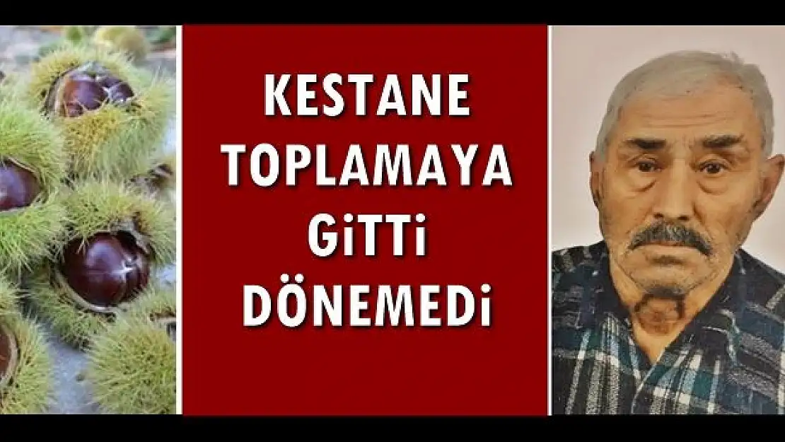 Ecel ormanda yakaladı