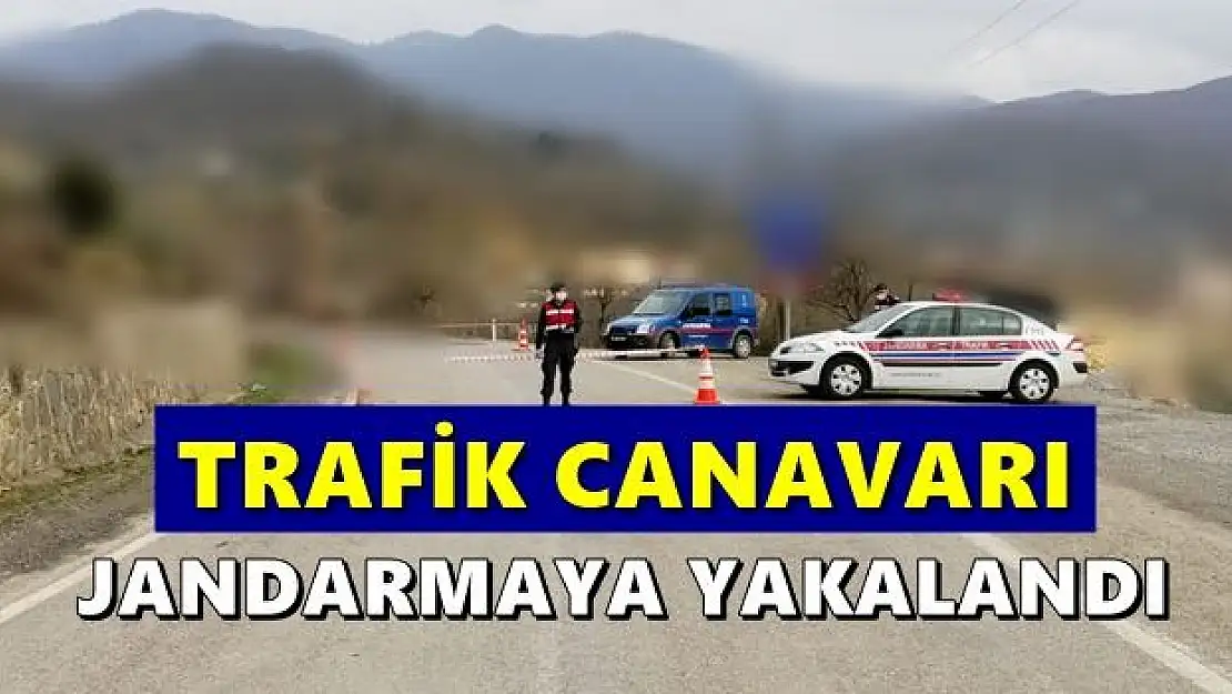 Ehliyetine bakın kaçıncı kez el konuldu