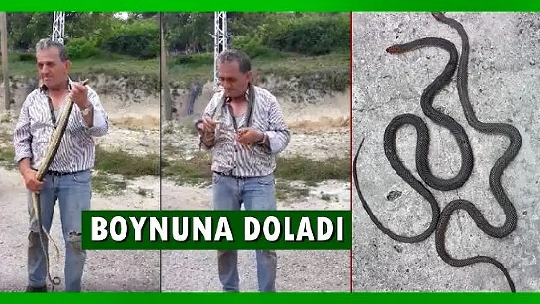 Eliyle yakaladı, boynuna doladı