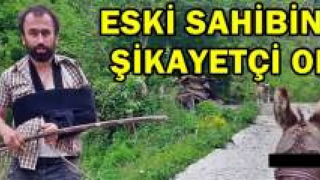 Eşeğin saldırısından canını zor kurtardı