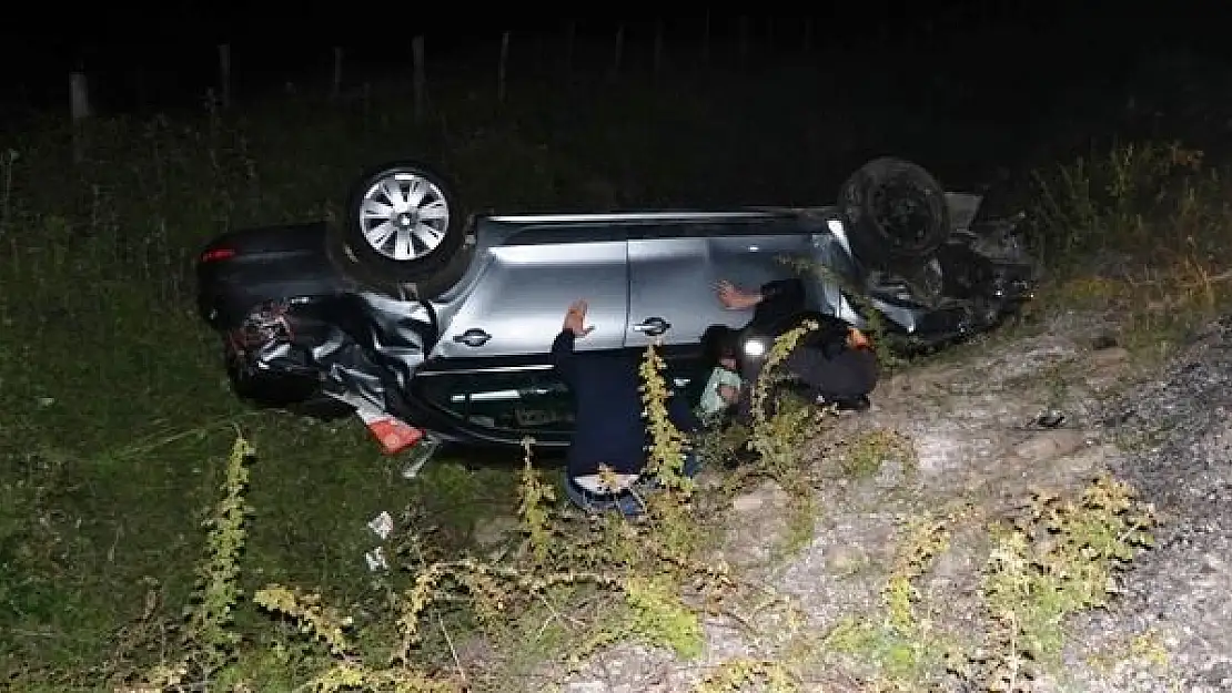 Eşeklere çarpan otomobil  takla attı, 2 yaralı