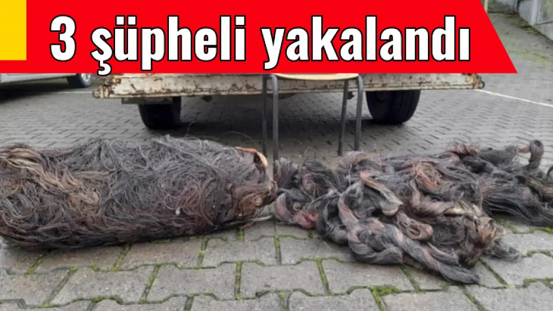 Fazla uzağa kaçamadılar