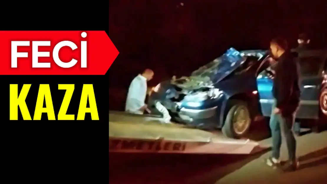Feci kazada hayatını kaybetti
