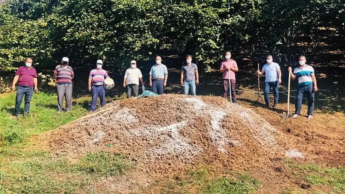 Fındık Zurufundan doğal gübre üretme