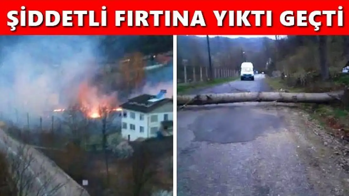 Fırtınada ağaç devrildi, yangın çıktı